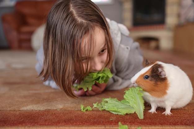 Mädchen füttert Meerschweinchen mit grünem Salat