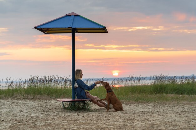 Mädchen genießen den Sommersonnenuntergang, der mit Hundefreund allein am Strand über schönem Meerblick sitzt