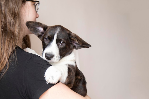 Mädchen hält traurigen Welpencorgi auf Händen mit Kopienraumtierhaustierpflegekonzeptveterinär