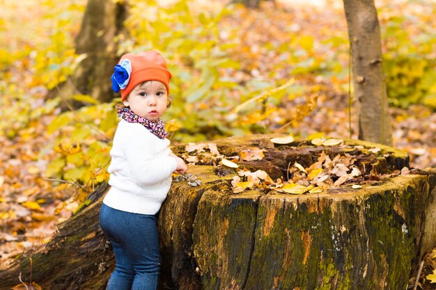 Mädchen im Herbstlaub. Nettes Mädchen, das auf Stumpf im Herbstwald sitzt.