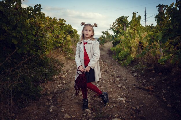 Mädchen im September, um Weinberge zu ernten, sammeln die ausgewählten Trauben in Italien für die große Ernte. biologische Konzept-ID, Bio-Lebensmittel und edler Wein handgemacht