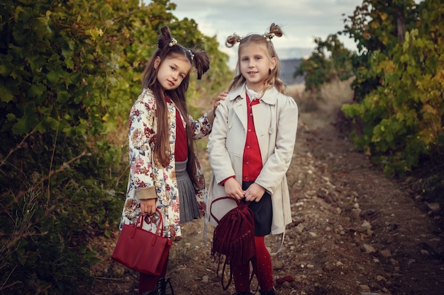 Mädchen im September, um Weinberge zu ernten, sammeln die ausgewählten Trauben in Italien für die große Ernte. biologische Konzept-ID, Bio-Lebensmittel und edler Wein handgemacht