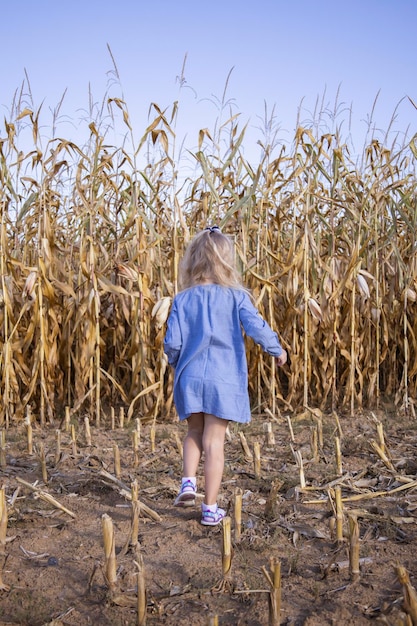 Mädchen in einem Kleid, das rückwärts durch ein Maisfeld läuft