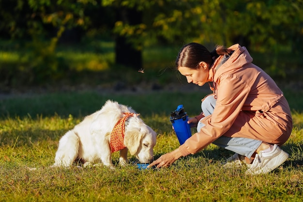 Mädchen in einem rosa Regenmantel gibt einem Golden Retriever-Welpen in einem Hundepark Wasser