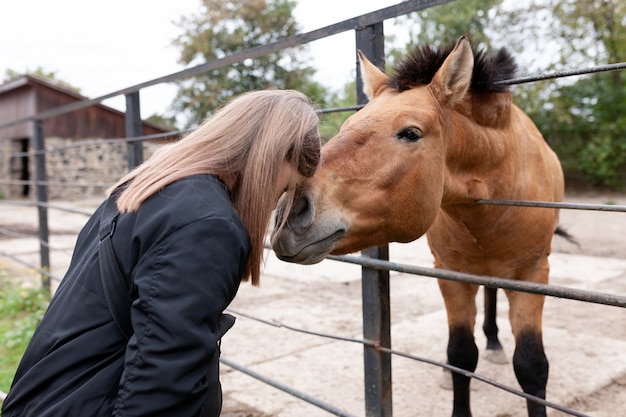 Mädchen in Kontakt mit einem Pferd im Zoo.