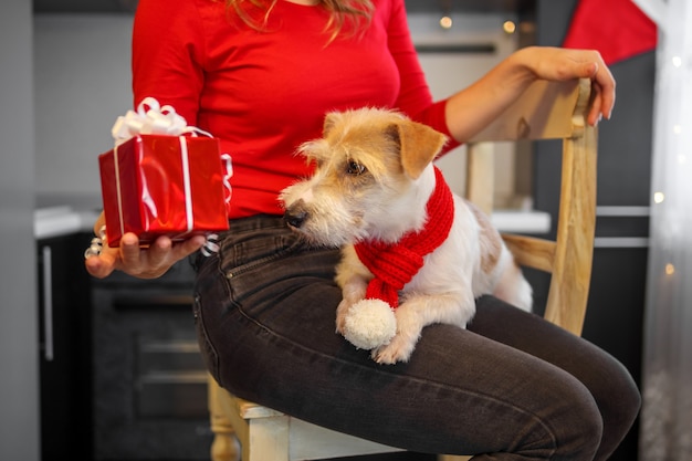 Mädchen in roter Kleidung in der Küche zeigt einem Hund an Heiligabend ein Geschenk