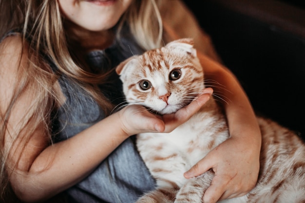 Mädchen ist zu Hause mit ihrem Hund Mops und einer Katze im Komfort von zu Hause