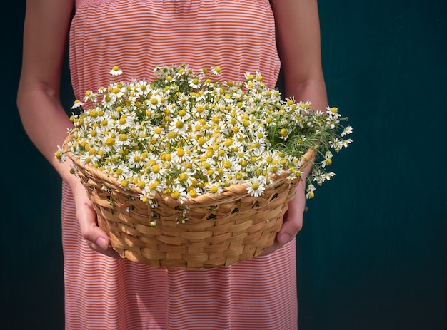 Mädchen mit Blumen Kamille.