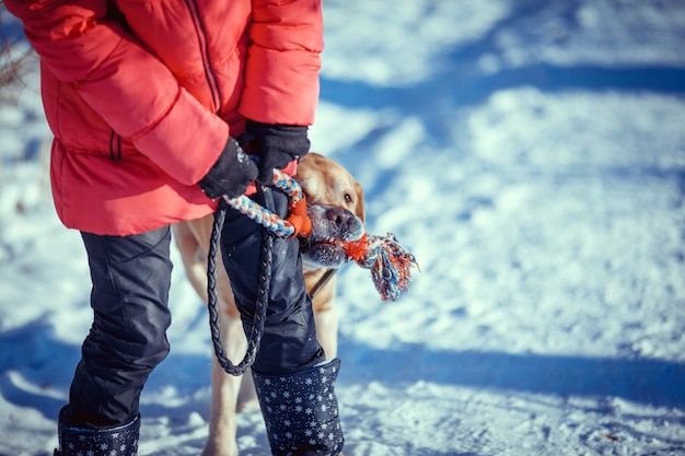 Mädchen mit einem Hund Labrador-Welpe, der im Winter im Freien Spaß spielt