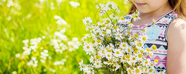 Mädchen mit Kamille. Foto. Naturblumen.