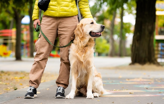 Mädchen mit sitzendem Golden Retriever Hund an der Leine im Park am Herbsttag Besitzer mit Labrador Doggy Pet ...