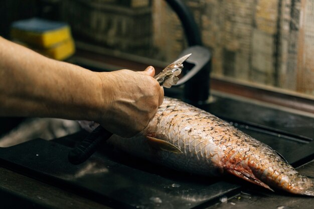 Mädchen putzt Fisch zu Hause