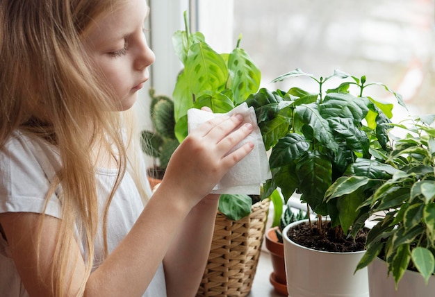 Foto mädchen reinigt pflanzen zu hause