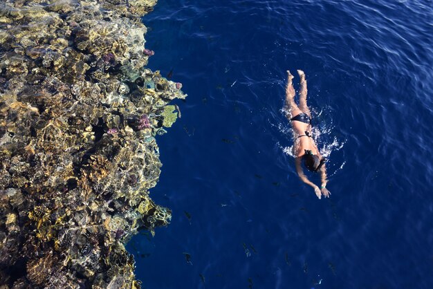 Mädchen schwimmt mit Schnorcheln im Meer