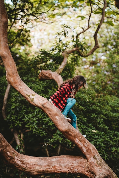 Mädchen sitzt auf einem Baum im Wald