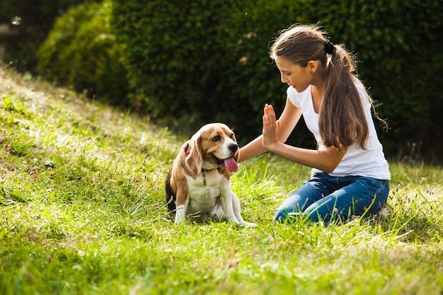 Mädchen sitzt mit Beagle-Hund auf dem Gras