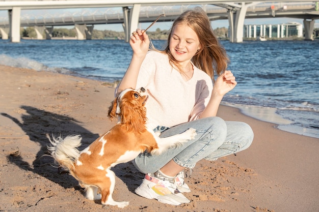 Mädchen spielt ihren Hund am Strand am sonnigen Tag.