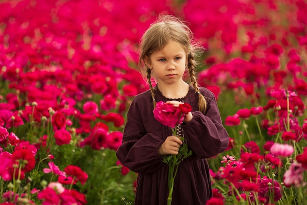 Mädchen stehend und schauend in der Mitte des Feldes der purpurnen Butterblumenblumen, im warmen Sommertag im Süden Israels