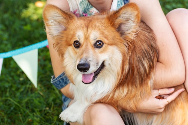 Mädchen und Hund