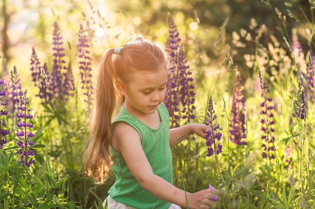 Mädchen und Lupine blühen in der Natur