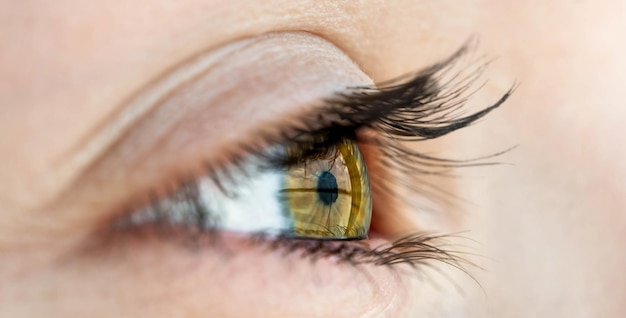 Mädchenauge mit brauner Iris und Wimpern mit Mascara, Nahaufnahme, Personensicht für mesical-optische Mediziner