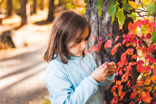 Mädchenherbst im Park, im Herbstlaub und in den Bäumen