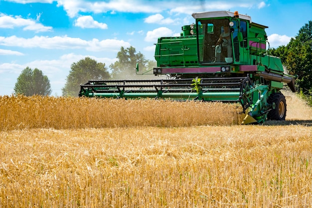 Mähdrescher auf einem Weizenfeld mit blauem Himmel. Erntezeit.