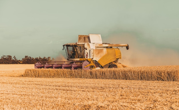 Foto mähdrescher bei der ernte von sommerweizen weizen und mais reagieren auf die märkte in der kornkammer der globalen krise ertrag wintergerste weizen mais soja