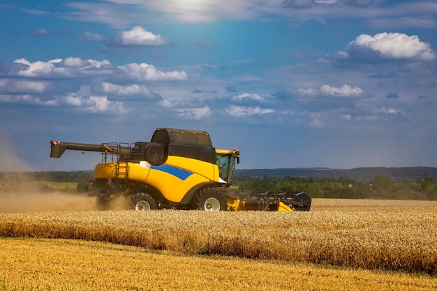Mähdrescher, der reifen Weizen erntet Ernte in der Ukraine während des Krieges und der Weltkrise für Getreide