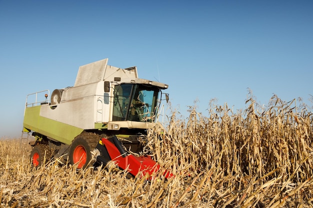 Mähdrescher ernten Maisfeld Bild der Agrarindustrie