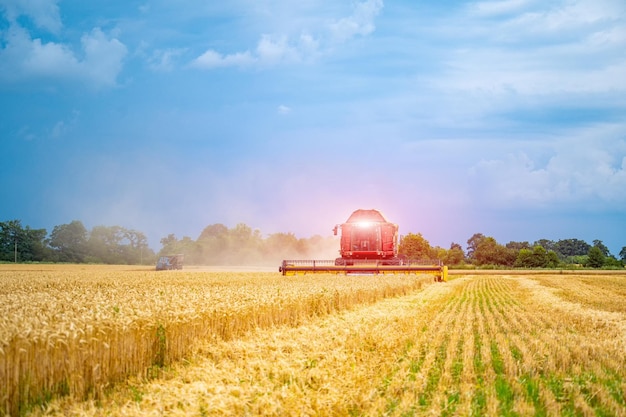 Mähdrescher in Aktion auf dem Feld Mähdrescher Erntemaschine zum Ernten eines Weizenfeldkonzepts