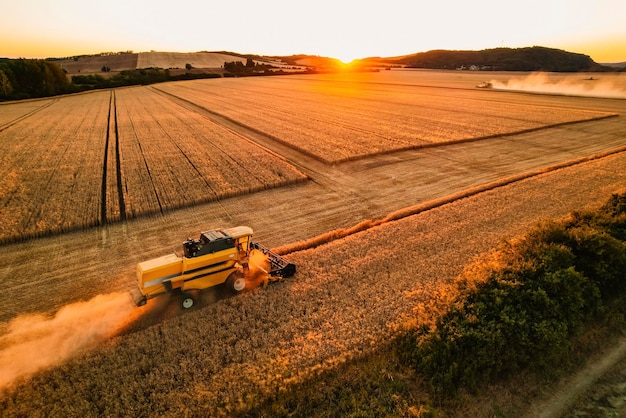 Mähdrescher-Landwirtschaftsmaschine, die goldenes reifes Weizenfeld erntet Der Mähdrescher erntet Weizen auf dem Feld Kornvorbereitung Agronomie und Landwirtschaft