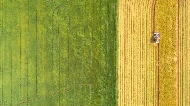 Foto mähdreschermaschine mit reisbauernhof vogelperspektive und draufsicht.