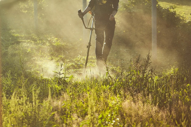 Mähen Sie den Rasentrimmer. das Mähen von hohem Gras mit einem Trimmer. selektiver Fokus auf ungeschnittenem Tawa und zerstreuen Partikel des geschnittenen Grases. Abendlichter bahnen sich ihren Weg durch den Nebel