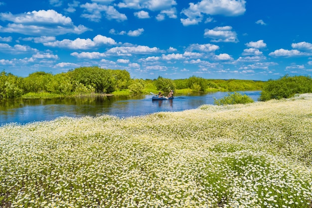 Männer bei einer Kajakfahrt auf einer blauen Flusslandschaft in der Nähe eines Feldes aus weißen Gänseblümchenblumen, einem grünen Wald mit Bäumen, blauem Wasser, Wolken, Himmel