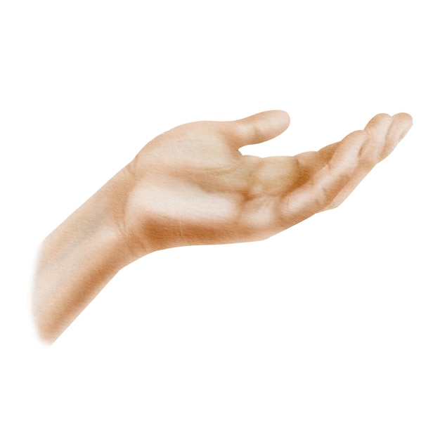 Männer Handbürste in europäischer Hautfarbe Berührung Pose in Aquarell realistische Technik Clipart isoliert