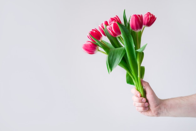 Männerhand mit rosa Tulpenstrauß auf Grau.