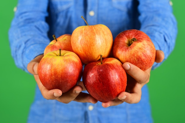 Männliche Hände halten rote Apfelfrüchte isoliert auf grünem Hintergrund
