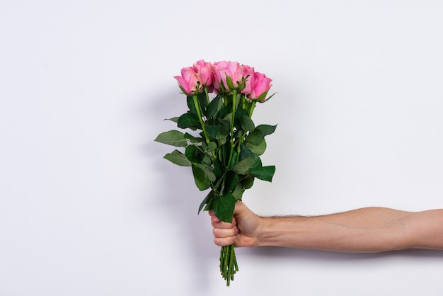 Männliche Hand, die einen Blumenstrauß der rosa Rosen auf Weiß hält