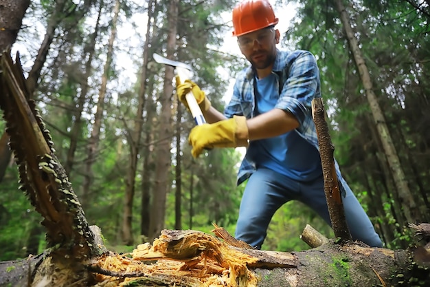 Männlicher Arbeiter mit einer Axt, die einen Baum im Wald hackt.