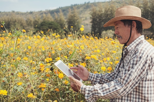 Männlicher asiatischer landwirt, der digitale tablette im blumenbauernhof verwendet