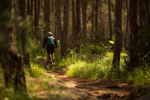 männlicher Athlet Mountainbiker fährt Fahrrad entlang eines Waldweges. Radfahren MTB Enduro Flow Trail Track. Outdoor-Sportaktivitäten