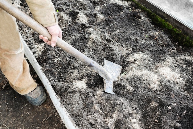 Männlicher Gärtnerarbeiter, der im Gemüsegarten mit Schaufel gräbt Bauermann in Gummistiefeln, der die Hände mit Spaten arbeitet, graben schwarze Erde BodenrasenAckerland Landwirtschaft Herbst Herbst Frühjahrsarbeit Reinigung