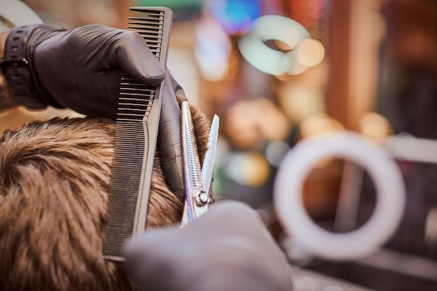 Männlicher Haarschnitt im Friseursalon Nahaufnahme des Kunden, der vom Friseur mit Kamm und Schere Haarschnitt bekommt