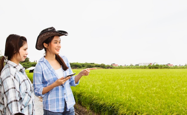 Las maestras agrícolas brindan asesoramiento y conocimiento sobre las mujeres agricultoras en la siembra de arroz.