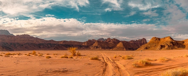 Magic Wadi Rum