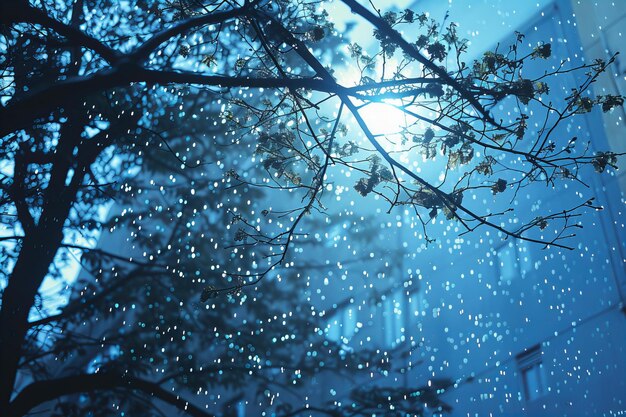 Mágica mañana de invierno con nieve y cielo azul