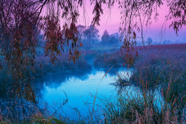 Mágico amanecer púrpura sobre el lago Misty morning Paisaje rural