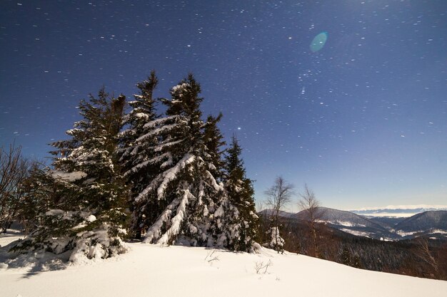 Mágico paisaje invernal con árboles cubiertos de nieve Vibrante cielo nocturno con estrellas y nebulosas y galaxias Astrofoto de cielo profundo