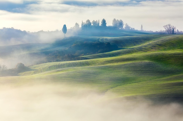 Magisch nebliges Tal in der Morgenlandschaft